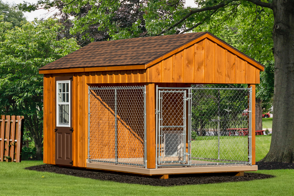 outdoor dog kennel (2)