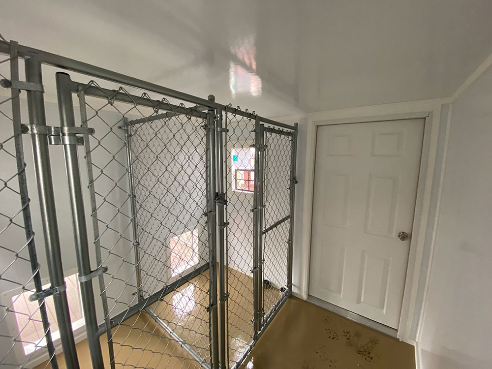 Interior of quality wood dog kennels for sale in north dakota